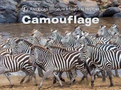 Camouflage - American Museum Of Natural History