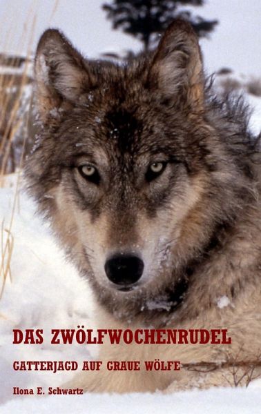 Das Zwölfwochenrudel Das Zwölfwochenrudel