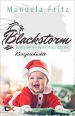Blackstorm - Turbulente Weihnachtszeit (eBook, ePUB)