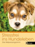 Stressfrei ins Hundeleben (eBook, ePUB)