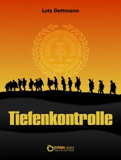 Tiefenkontrolle (eBook, ePUB) - Dettmann, Lutz