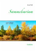 Sammelsurium (eBook, ePUB) Sammelsurium (eBook, ePUB)