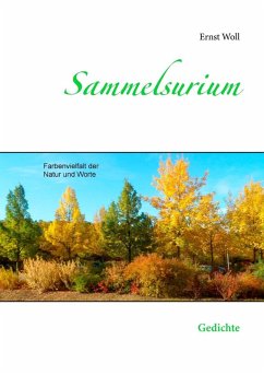Sammelsurium (eBook, ePUB) - Woll, Ernst