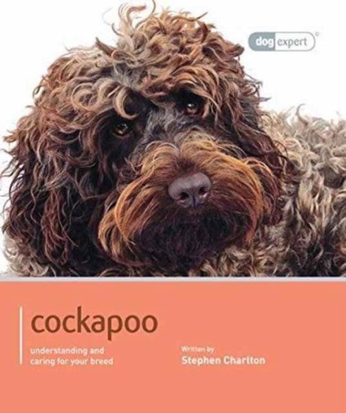 Cockapoo - Dog Expert Cockapoo - Dog Expert