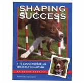 Shaping Success Shaping Success