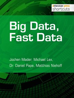 Big Data, Fast Data (eBook, ePUB) - Mader, Jochen; Lex, Michael; Pape, Dr. Daniel; Niehoff, Matthias