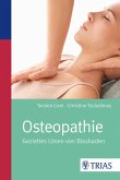 Osteopathie (eBook, ePUB)