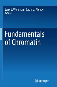 Fundamentals of Chromatin