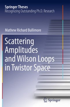 Scattering Amplitudes and Wilson Loops in Twistor Space - Bullimore, Mathew Richard