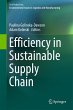 Efficiency in Sustainable Supply Chain - Bild 1