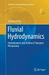 Fluvial Hydrodynamics - Bild 1