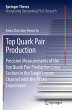 Top Quark Pair Production - Bild 1