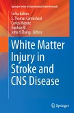 White Matter Injury in Stroke and CNS Disease