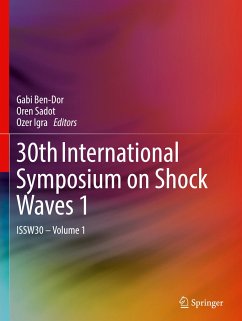 30th International Symposium on Shock Waves 1