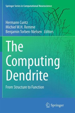 Cover The Computing Dendrite