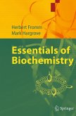 Essentials of Biochemistry Essentials of Biochemistry