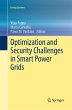 Optimization and Security Challenges in... - Bild 1