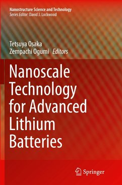 Nanoscale Technology for Advanced Lithium Batteries