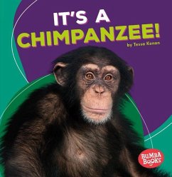 It's a Chimpanzee! - Kenan, Tessa