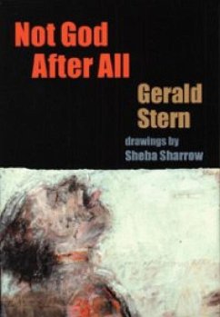 Not God After All - Stern, Gerald