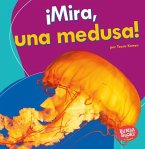 ¡Mira, Una Medusa! (Look, a Jellyfish!)