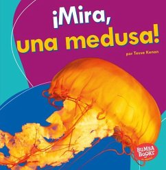 ¡Mira, Una Medusa! (Look, a Jellyfish!) - Kenan, Tessa