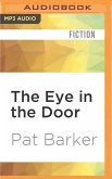 The Eye in the Door