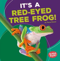 It's a Red-Eyed Tree Frog! - Kenan, Tessa