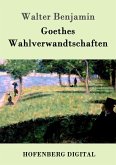 Goethes Wahlverwandtschaften (eBook, ePUB)