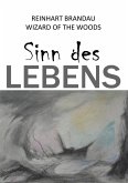Sinn des Lebens (eBook, ePUB) Sinn des Lebens (eBook, ePUB)