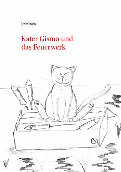 Kater Gismo und das Feuerwerk (eBook, ePUB)