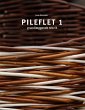 Pileflet 1 (eBook, ePUB) - Bild 1