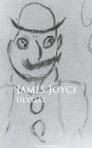 Ulysses (eBook, ePUB)
