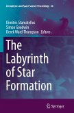 The Labyrinth of Star Formation