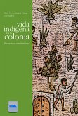 Vida indígena en la colonia (eBook, ePUB)