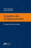 Grundriss des Zivilprozessrechts