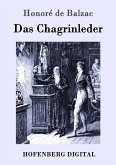 Das Chagrinleder (eBook, ePUB)