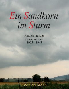 Ein Sandkorn im Sturm (eBook, ePUB) - Selmayr, Josef