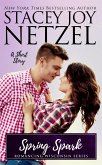 Spring Spark (Romancing Wisconsin, #12) (eBook, ePUB) Spring Spark (Romancing Wisconsin, #12) (eBook, ePUB)