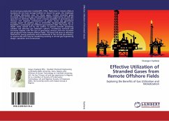 Effective Utilization of Stranded Gases from Remote Offshore Fields