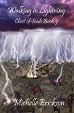 Walking in Lightning (Chest of Souls, #9) (eBook, ePUB)