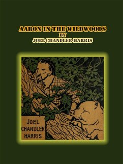 Aaron in the Wildwoods (eBook, ePUB) - Chandler Harris, Joel