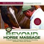 Beyond Horse Massage Wall Chart