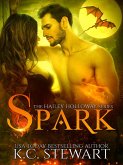 Spark (Hailey Holloway, #1) (eBook, ePUB)