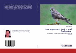 Jaw apparatus, Kestrel and Budgerigar - Shawki, Nahed