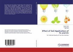 Effect of Soil Application of Fe and Zn