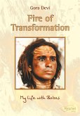 Fire of Transformation (eBook, ePUB)