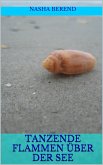 Tanzende Flammen über der See (eBook, ePUB)