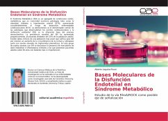 Bases Moleculares de la Disfunción Endotelial en Síndrome Metabólico
