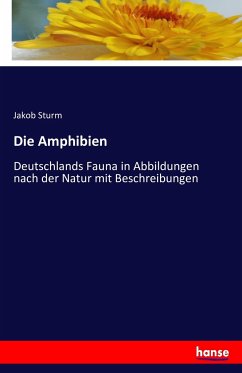 Die Amphibien - Sturm, Jakob